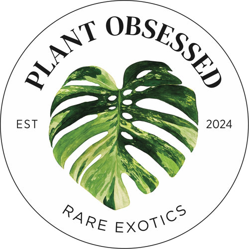 Plant Obsessed 